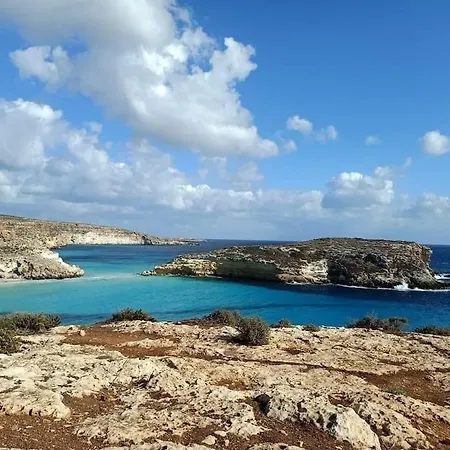 Camera Coniglio A Lampedusa